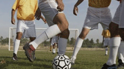 未来足球vs阿拉伯建筑今日直播在线观看-02-19-埃及超比分-咪咕体育
